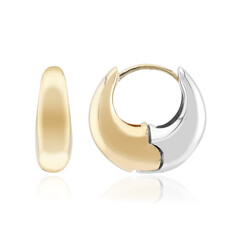 Pendientes en plata