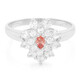 Anillo en plata con Zafiro Padparadscha