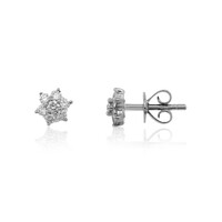 Pendientes en platino con Diamante limpio a lupa F (LUCENT DIAMONDS)