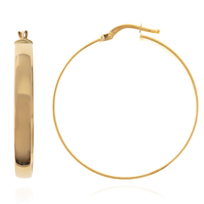 Pendientes en oro