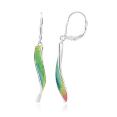 Pendientes en plata
