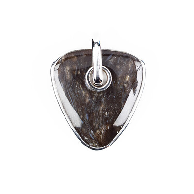 Colgante en plata con Madera de palma petrificada