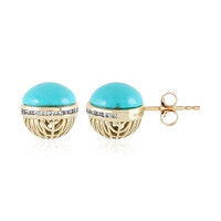 Pendientes en oro con Turquesa bella durmiente (Ornaments by de Melo)