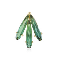 Colgante en oro con Turmalina de Santa Rosa (de Melo)