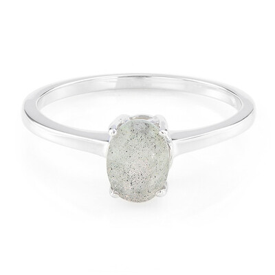 Anillo en plata con Labradorita