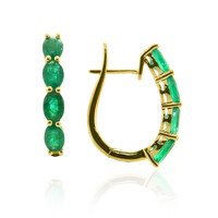 Pendientes en oro con Esmeralda de Zambia AAA (CIRARI)