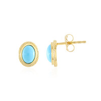 Pendientes en plata con Turquesa bella durmiente