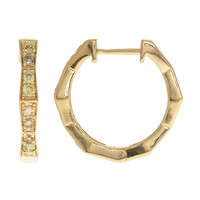 Pendientes en oro con Diamante fancy SI2 (CIRARI)