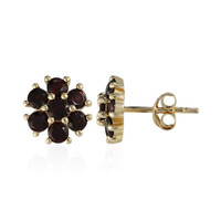 Pendientes en plata con Granate