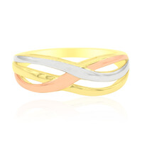 Anillo en plata
