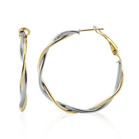 Pendientes en plata