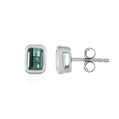 Pendientes en plata con Turmalina verde Benedito(Adela Silber)