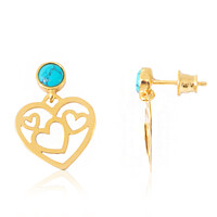 Pendientes en plata con Turquesa