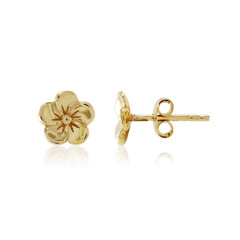 Pendientes en plata