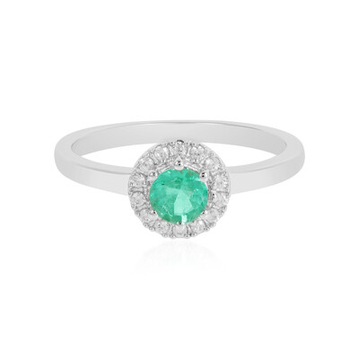 Anillo en plata con Esmeralda de Colombia (MONOSONO COLLECTION)