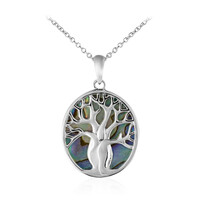 Collar en plata con Concha de Abalone