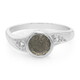 Anillo en plata con Espectrolita