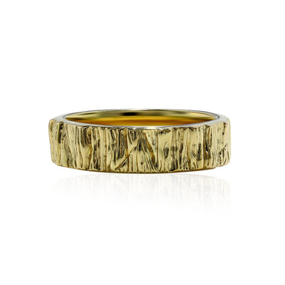 Anillo en plata