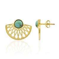 Pendientes en plata con Turquesa