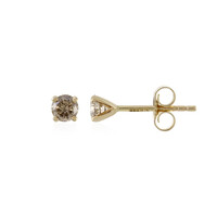 Pendientes en oro con Diamante chocolate I1