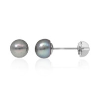Pendientes en plata con Perla Freshwater
