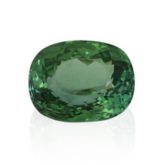 Piedra preciosa con Turmalina verde