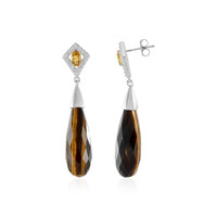 Pendientes en plata con Ojo de tigre
