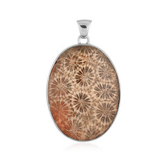 Colgante en plata con Piedra petoskey (Bali Barong)