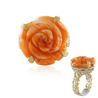 Anillo en plata con Ostra espinosa naranja (Gems en Vogue)