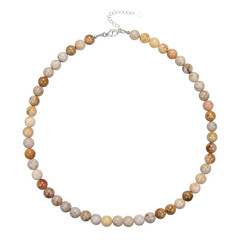 Collar en plata con Piedra petoskey
