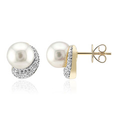 Pendientes en oro con Perla blanca del mar del sur (Michelle Albala)