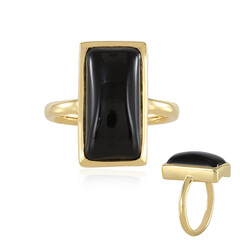 Anillo en plata con Ónix negro