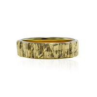 Anillo en plata