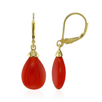 Pendientes en plata con Ágata roja