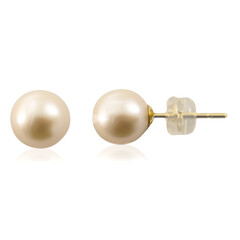 Pendientes en oro con Perla Freshwater