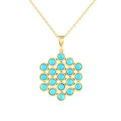 Collar en plata con Turquesa bella durmiente