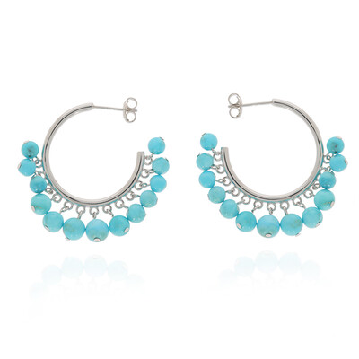 Pendientes en plata con Turquesa bella durmiente (Anne Bever)