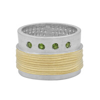 Anillo en plata con Diópsido de Rusia