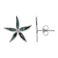 Pendientes en plata con Concha de Abalone