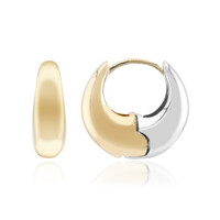 Pendientes en plata