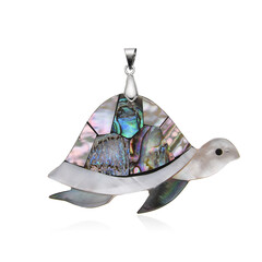 Colgante en plata con Concha de Abalone