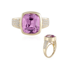 Anillo en oro con Cuncita de Patroke (AMAYANI)