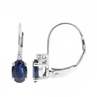 Pendientes en oro con Zafiro azul Ceylon