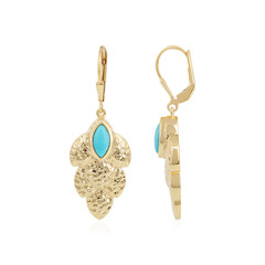 Pendientes en plata con Turquesa bella durmiente