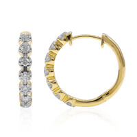 Pendientes en oro con Diamante IF (D)