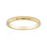 Anillo en plata