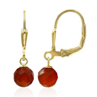 Pendientes en plata con Ónix rojo