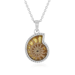 Collar en plata con Amonita