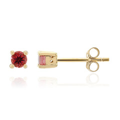 Pendientes en oro con Rubelita