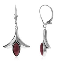 Pendientes en plata con Rodonita (Desert Chic)